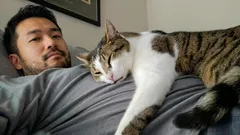 猫が飼い主の上で眠るのは愛情だけじゃない：本当の理由は意外かも