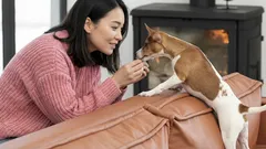 家を出る前に犬をなでてあげるべき理由：飼い主さん全員に伝えたいアドバイス