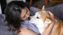 犬があなたを愛しているとわかる方法：専門家が最も確かなサインを解説